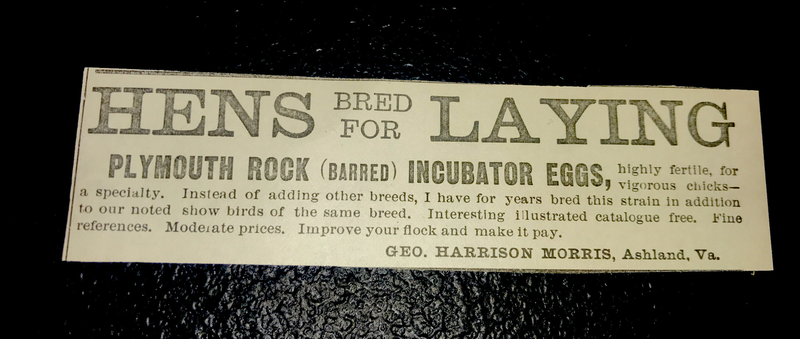 1900 Geo. Harris Morris Chicken Farm Advertising – Ashland – Virginia