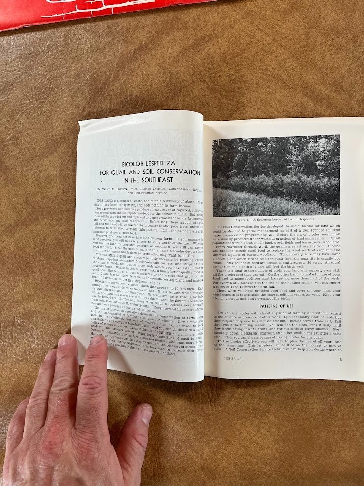 1948 US DEPARTMENT OF AGRICULTURE Bicolor Lespedeza QUAIL MANAGEMENT HUNTING