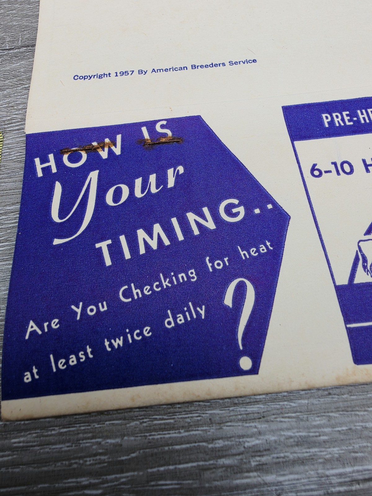 Rare 1957 American Breeders Service Folder Cow Breeding Schedule NOS Advert