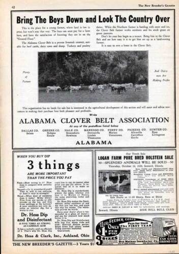 1929 ALABAMA CLOVER BELT LIVESTOCK CATTLE DAIRY FARM RENT REAL ESTATE AD 7008