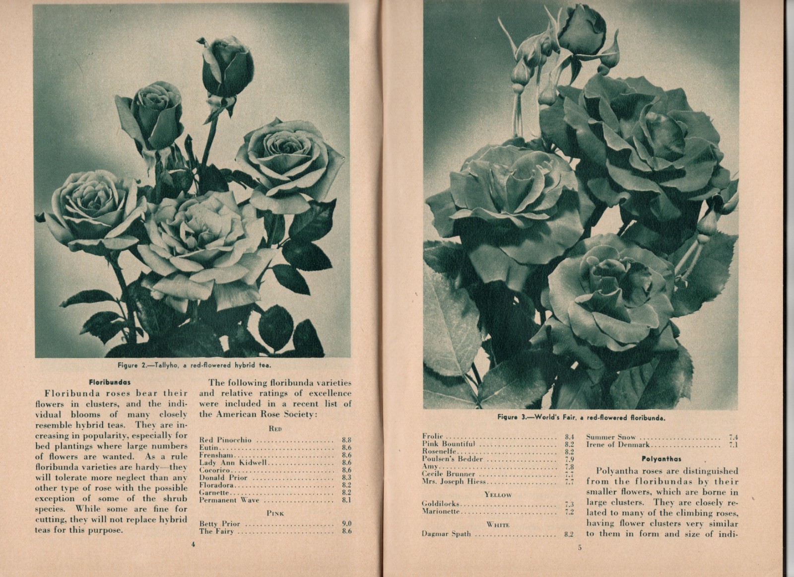 U. S. Department of Agriculture Home and Garden Bulletin no. 25 Roses – XL4B