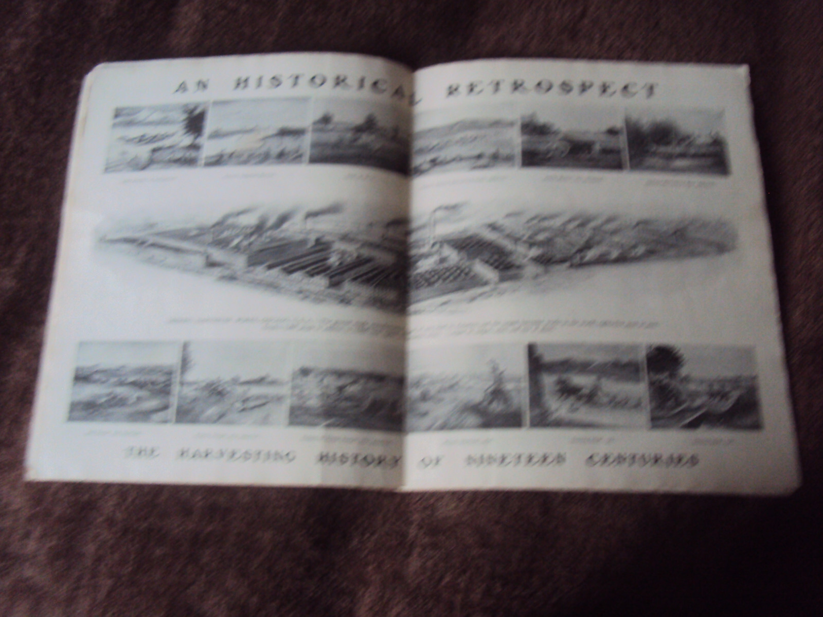 1901 Deering Harvesting Machinery Catalog 36 page SB