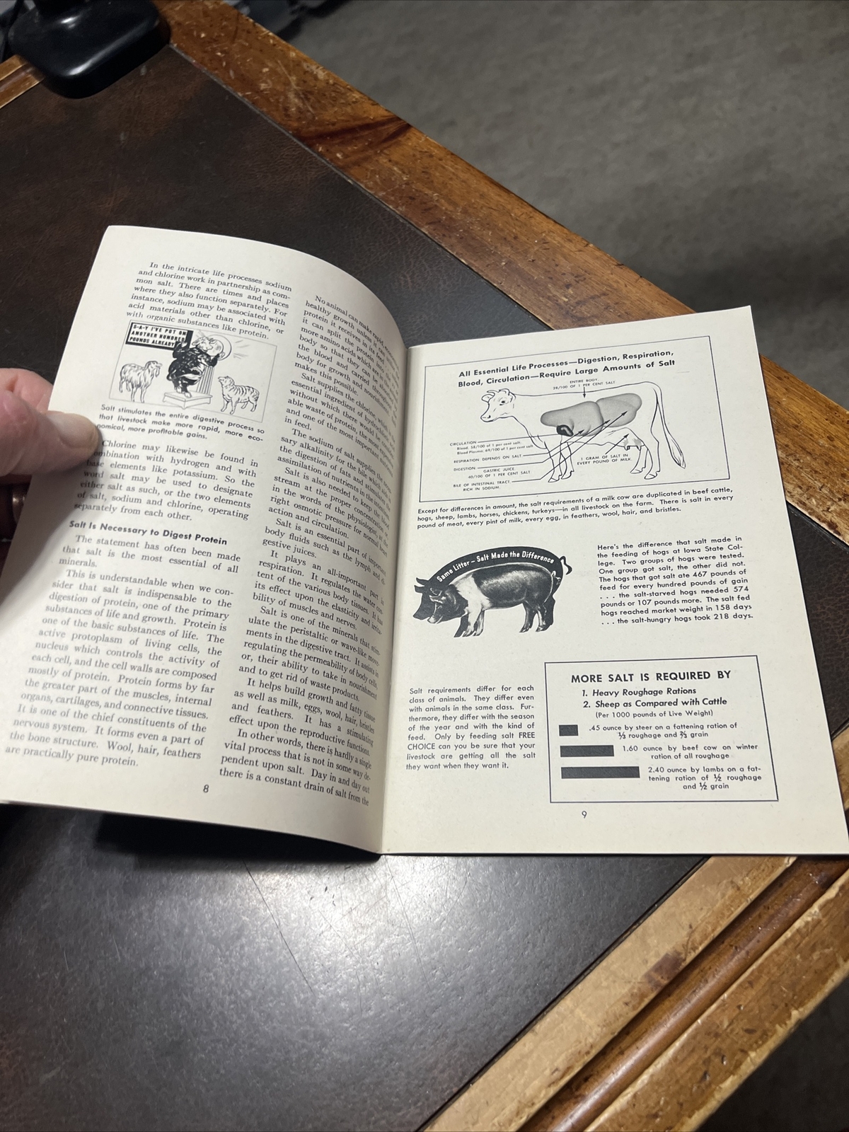 Vintage Morton Salt Co Brochure “Profitable Livestock Feeding”