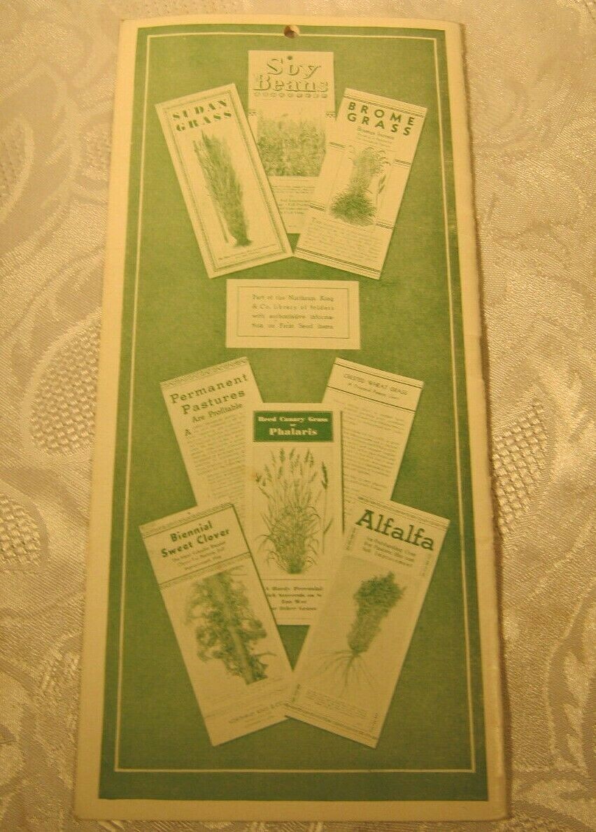 Northrup King & Co Seeds farming catalog Pamphlet vintage agriculture Farm