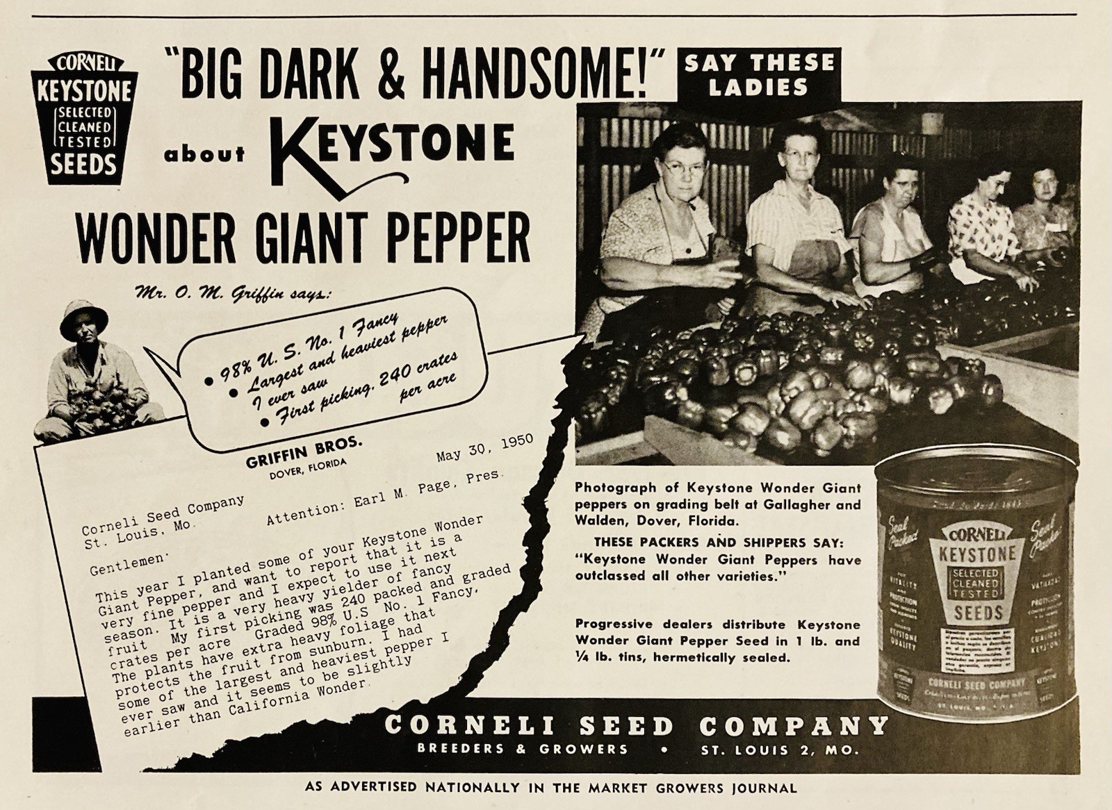 1950 AD.(XH83)~CORNELI SEED CO. ST. LOUIS. KEYSTONE WONDER GIANT PEPPER SEEDS