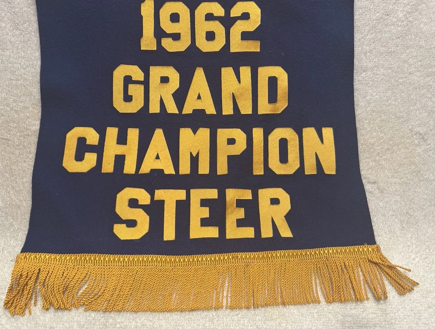 Vtg Banner Southwestern Indiana Angus Association 1962 Champion Steer 14X23 OOAK