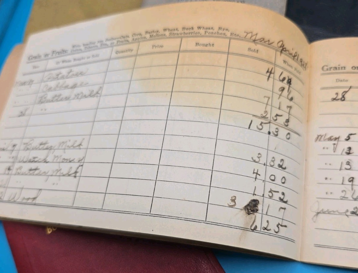 1928–1929 Michigan Farm Ledger – Buttermilk, Eggs, Produce, Livestock, Cow Sale