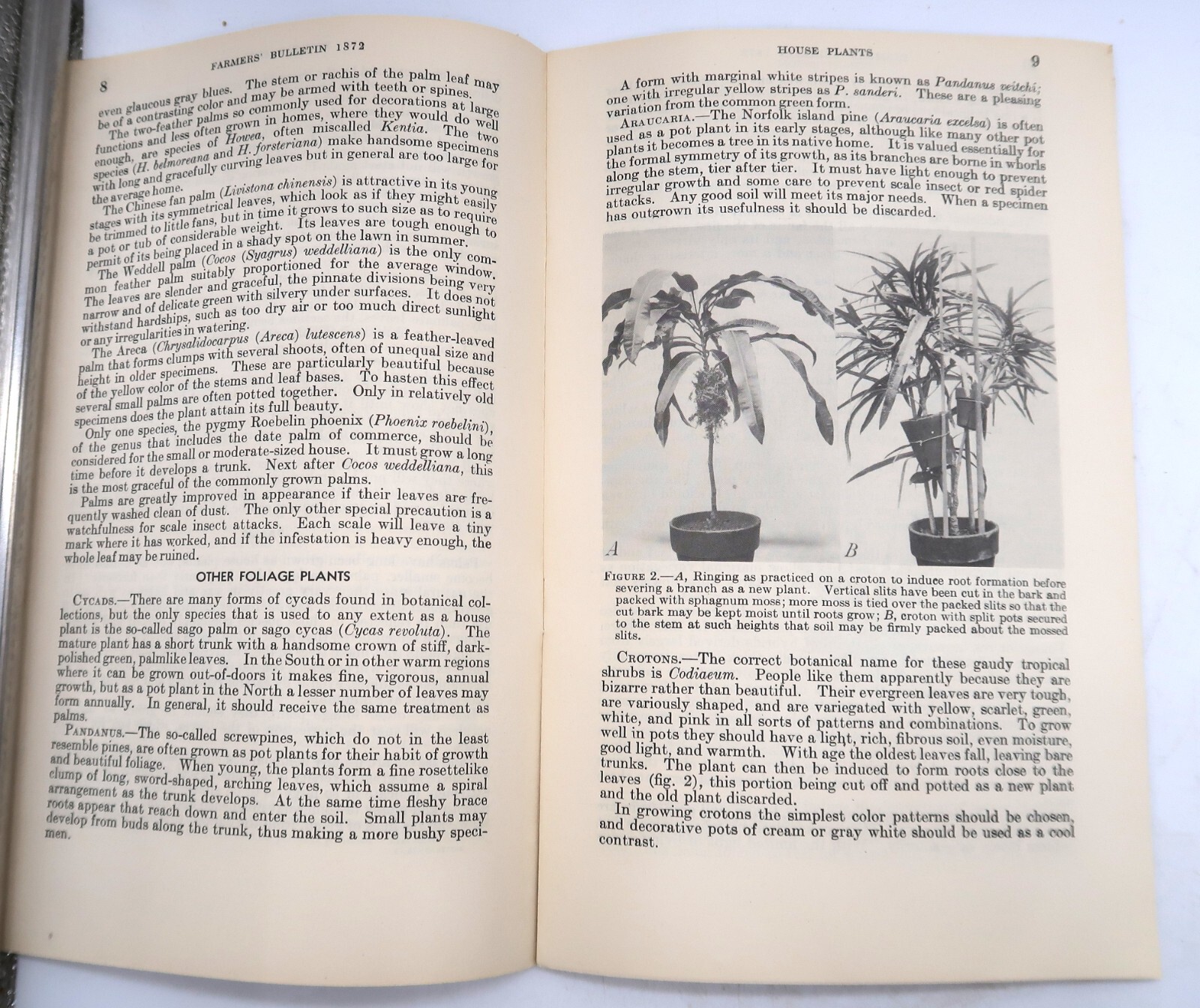 1941 USDA Farmers&rsquo; Bulletin No. 1872 House Plants Ephemera Furman Lloyd Mulford