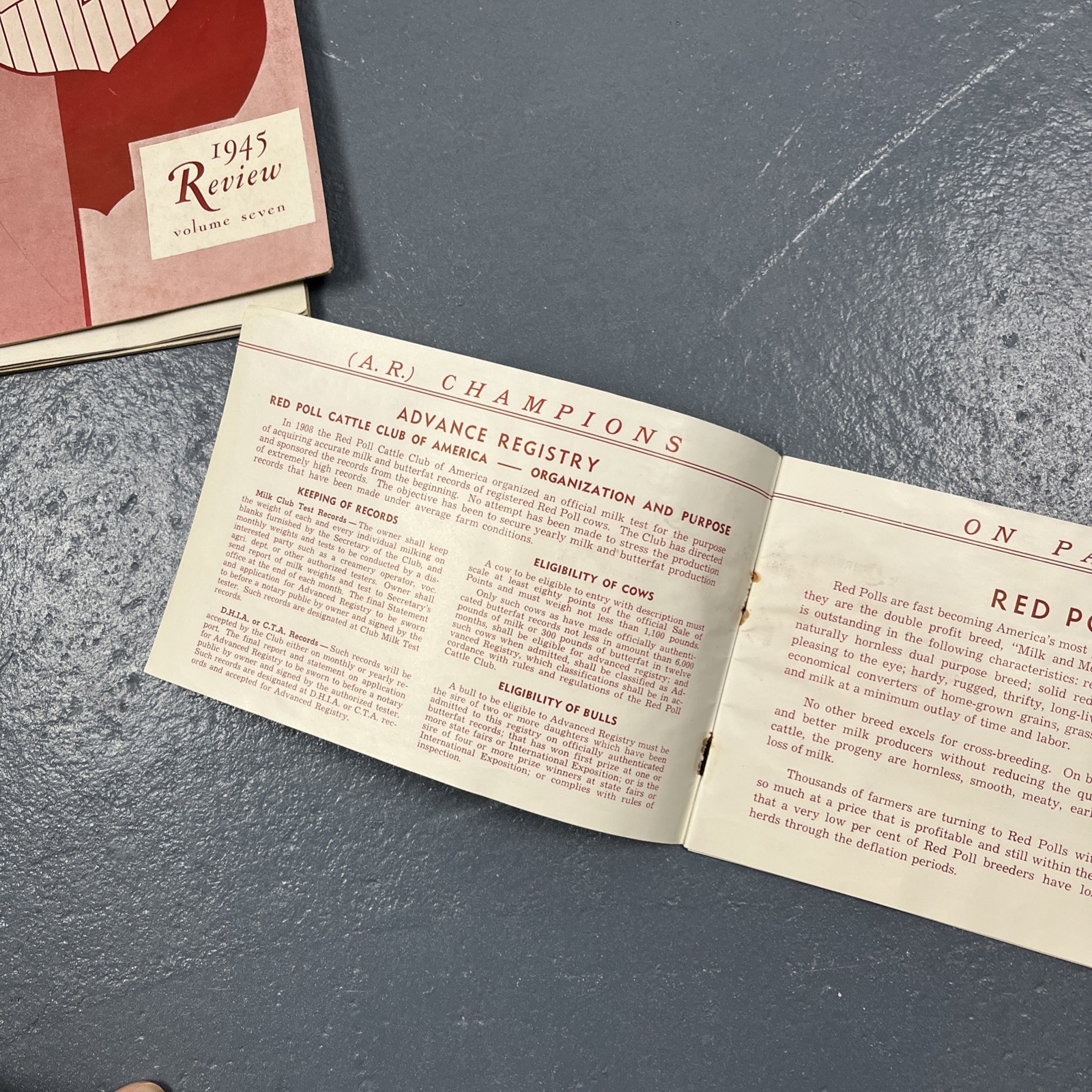 Lot Of Vintage 1930s & 1940s Farming Ephemera Livestock Cattle Club VTG Animal