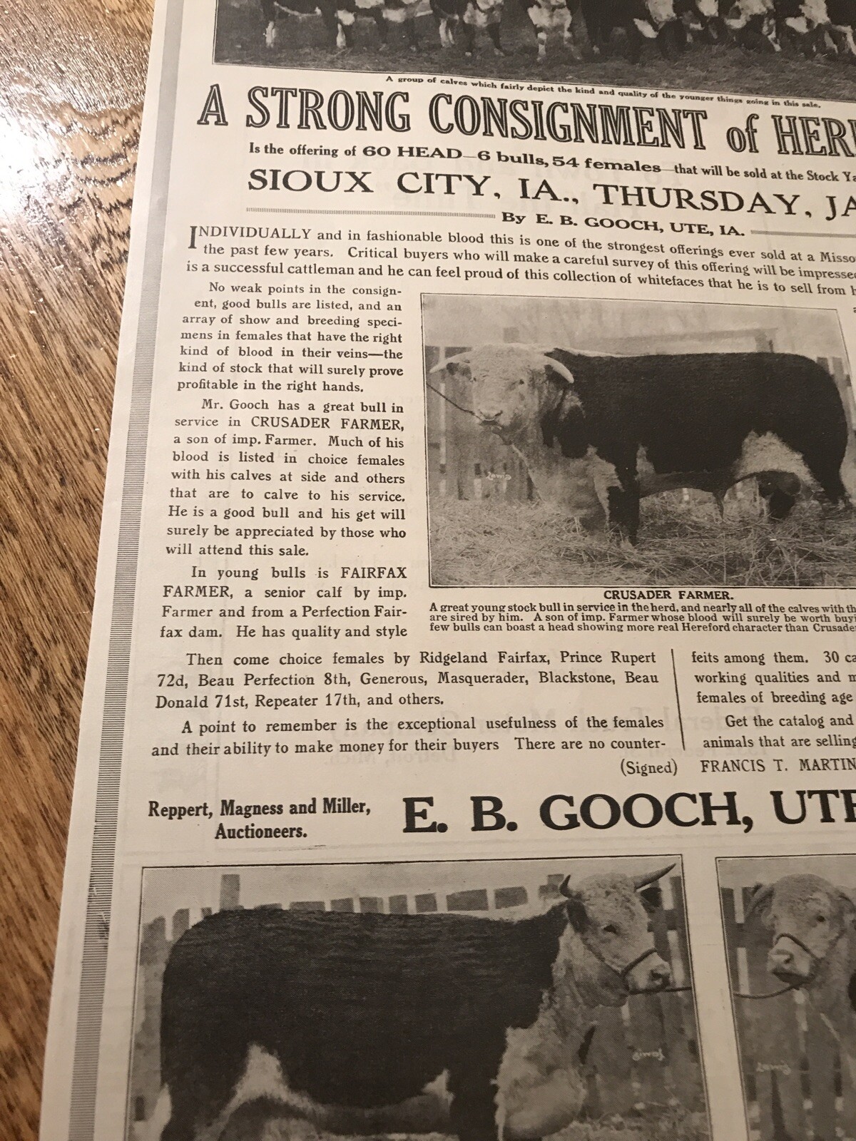 1917 Cattle Livestock Public Sale Poster – Sioux City – Iowa – Cow Advertising