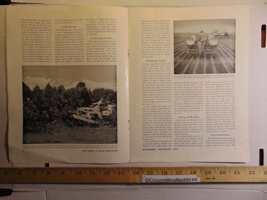Vintage 1951 Rohm & Haas Co Onion Farming In The Mucklands Brochure