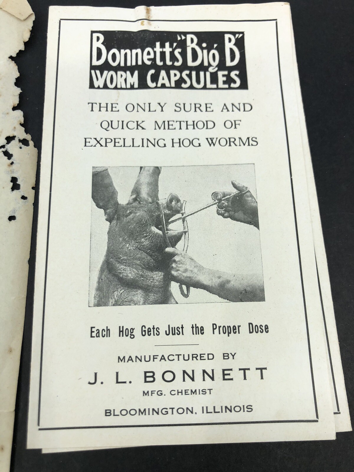 1918 BONNETTS BIG B HOG WORM CAPSULES ILLUS BROCHURE Letterhead Bloomington IL