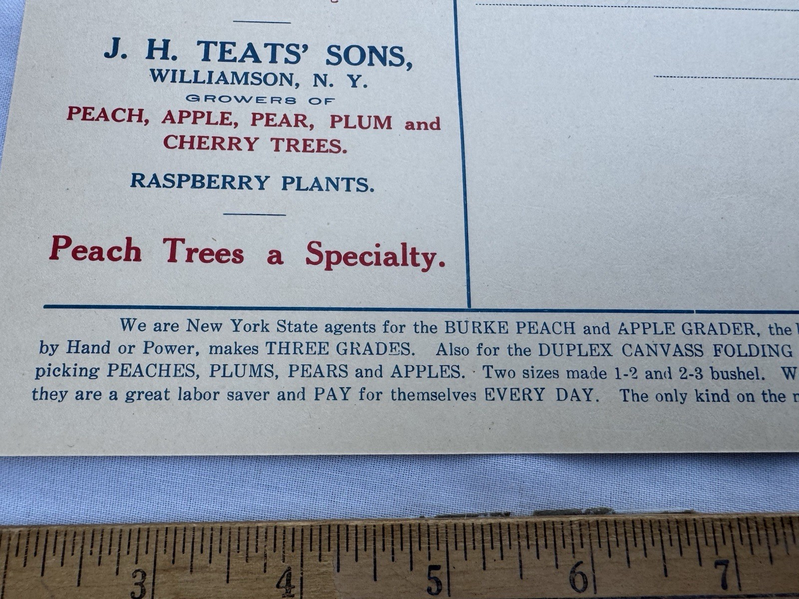 Vintage 1940&rsquo;s Sales Mailer Postcard J H Teat&rsquo;s Sons Williamson NY Peach Apple