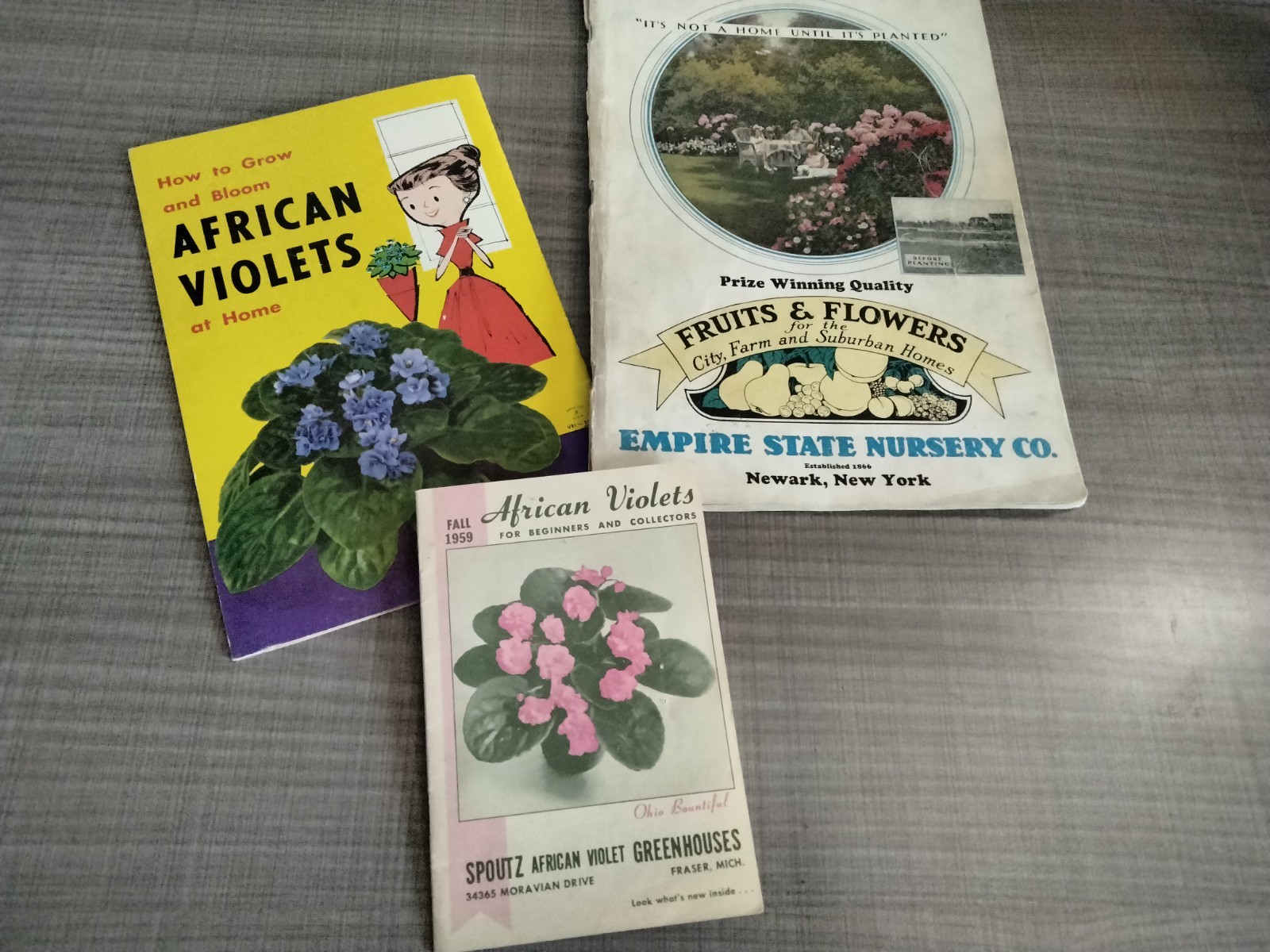 Vtg. 1939 Empire State Nursery Co. Fruits & Flowers Booklet + 2 African Violets
