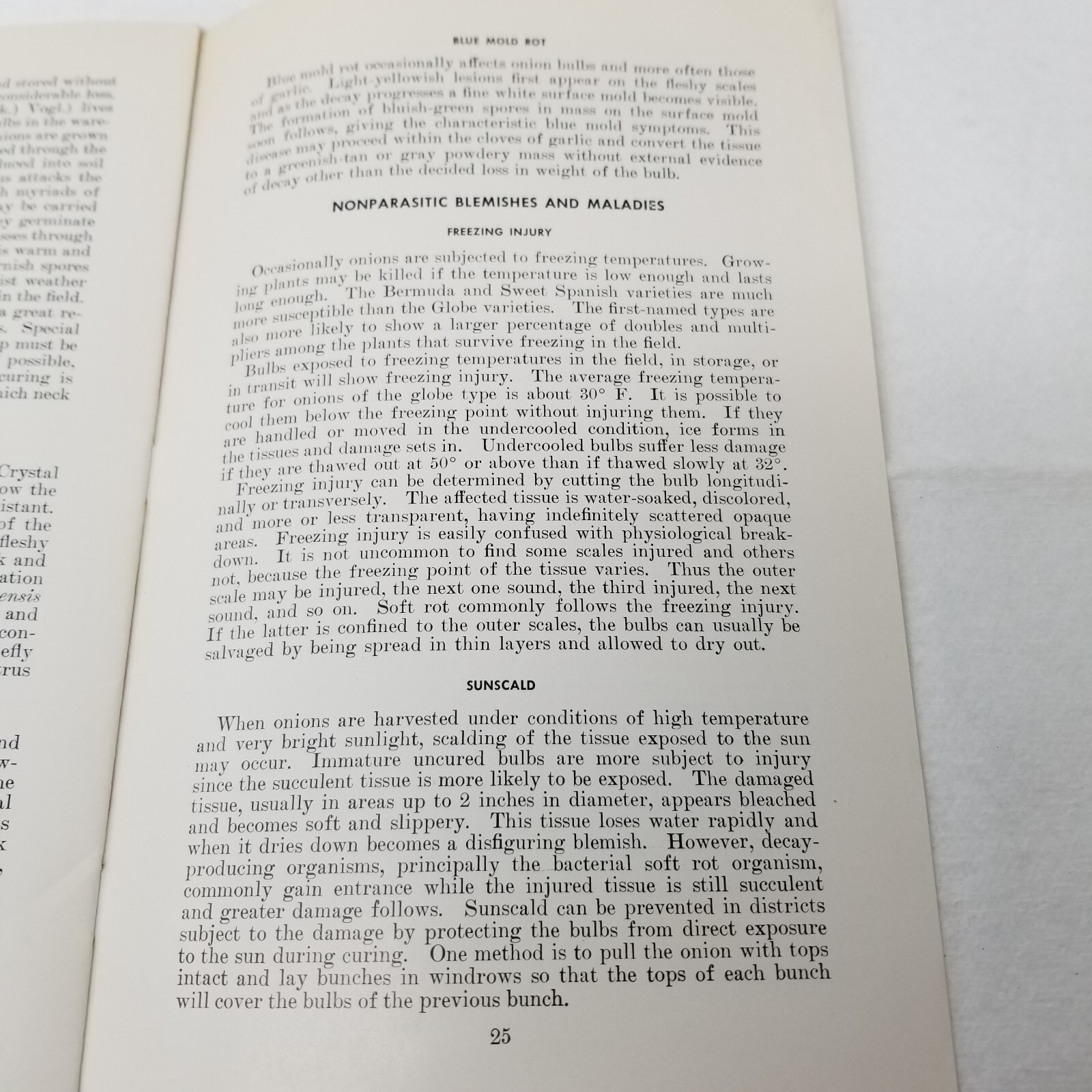 Onion Diseases Control 1947 Farmers&rsquo; Bulletin Booklet 1060 USDA Photos Charts