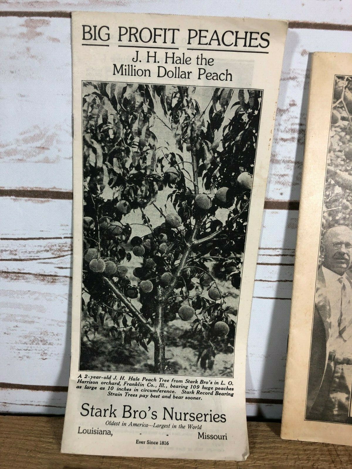 4 Vintage 1930s Stark Bro&rsquo;s Nurseries Orchard Fruit Trees Brochures Catalogs