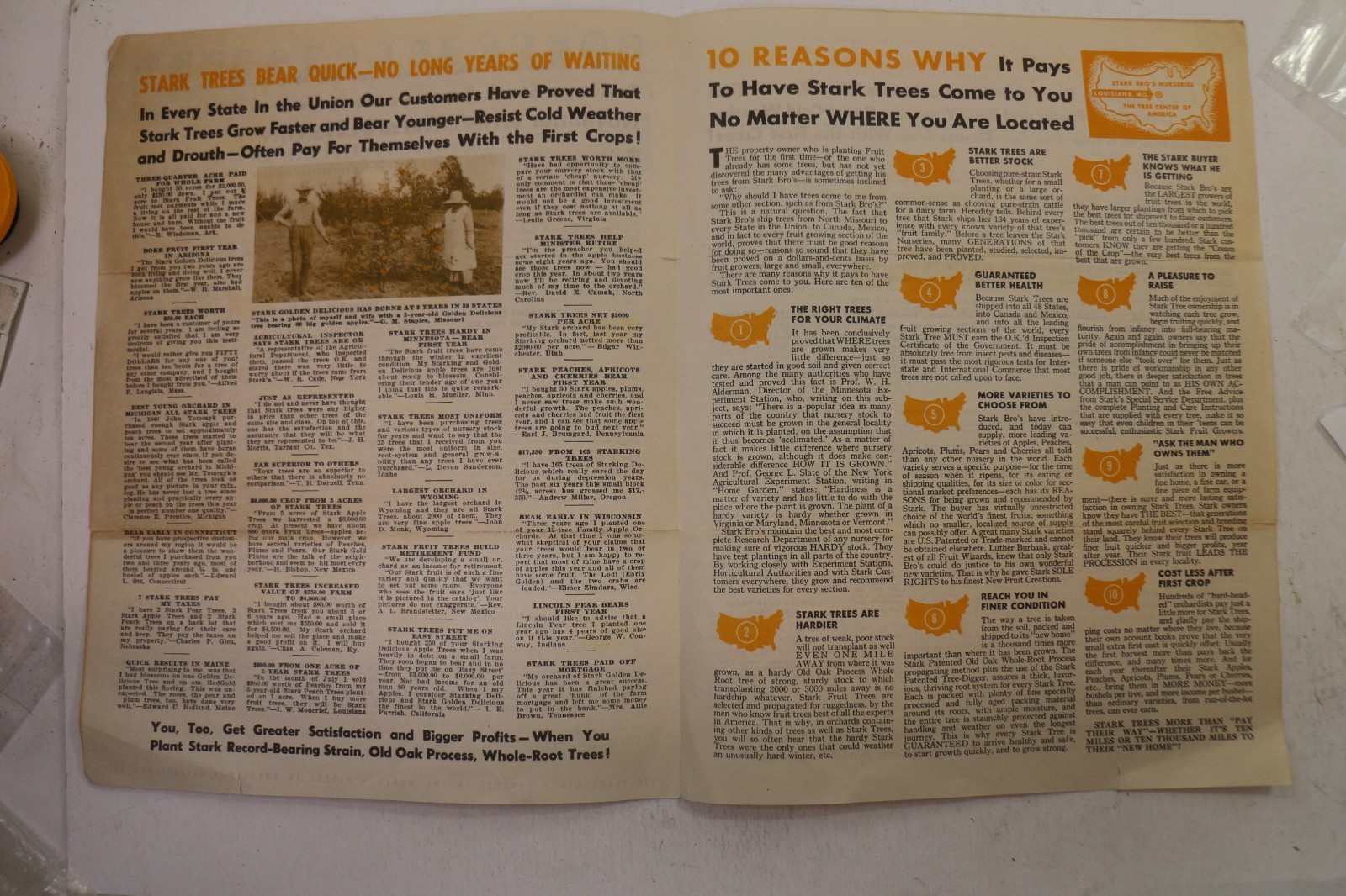1950s Stark Bro&rsquo;s Nurseries & Orchards Co. Marketing Circular Catalog