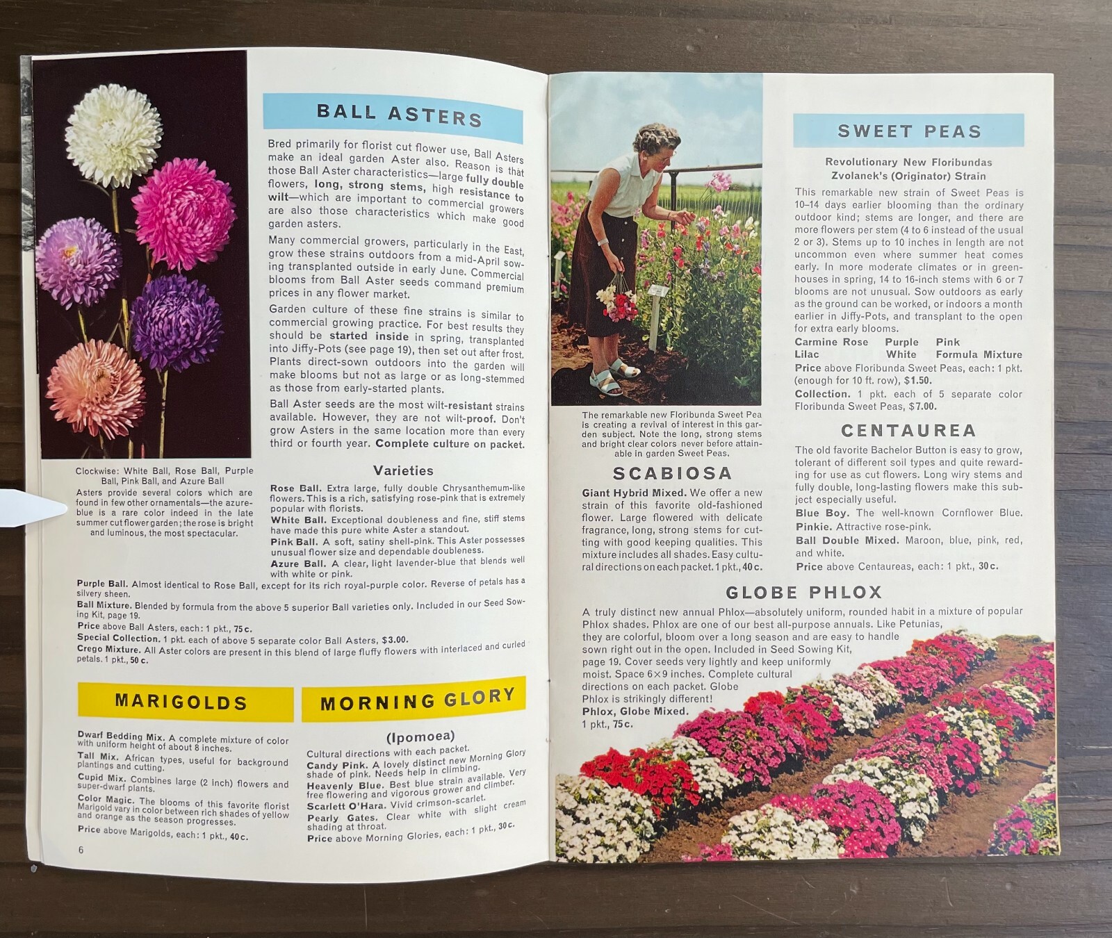 Seedcraft Vintage Garden Flower Catalog Rainbow Coleus Geo J Ball 1950s Booklet