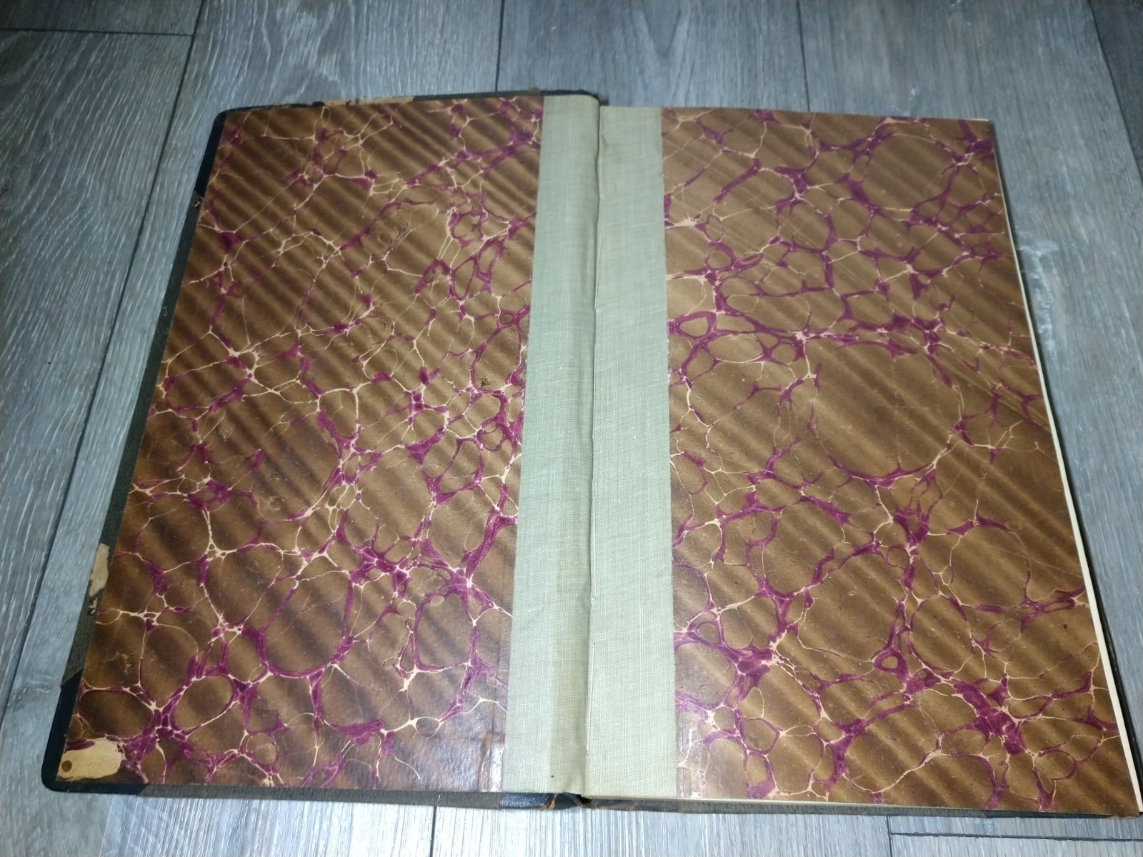 Antique Unused PLANTERS REGISTER Ledger BOOK 1895 COTTON GRAIN LIVESTOCK DAIRY
