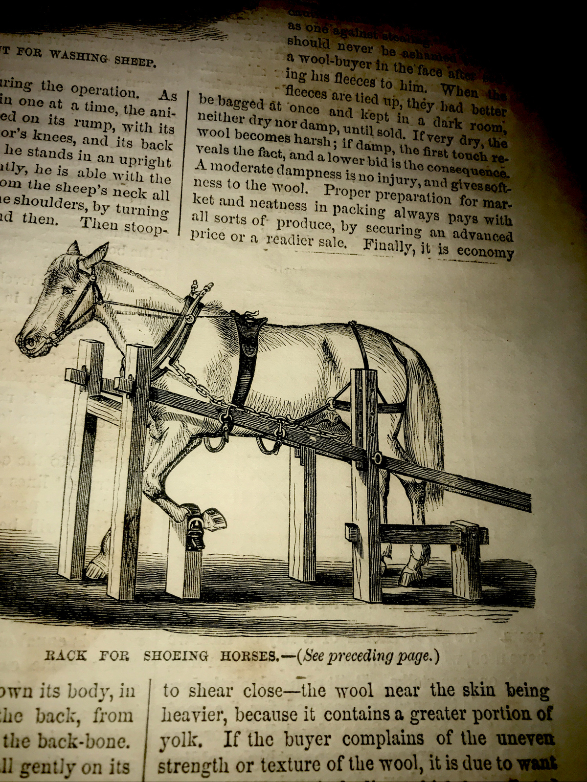 ORIGINAL 1872 Sheep & Horse Shoeing Farm Engraving Advertising & Article