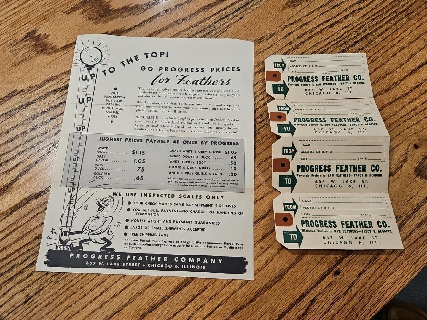 1950s Progress Feather Wholesale In Raw Feathers Fancy & Bedding Mascot Chicago