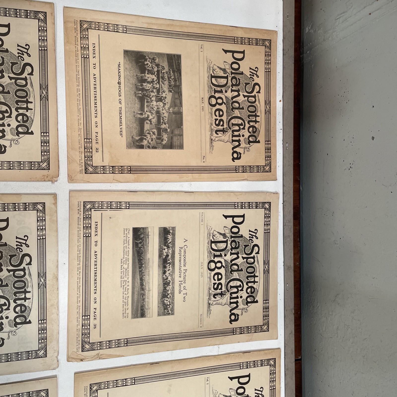 Vintage Spotted Poland China Pig Hog Digest 1925 LOT OF 6