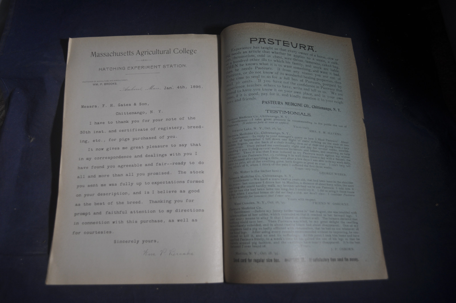 Ca 1896 Gates Homestead Farm Catalog Hogs, Poultry, Ferrets, Chittenango NY