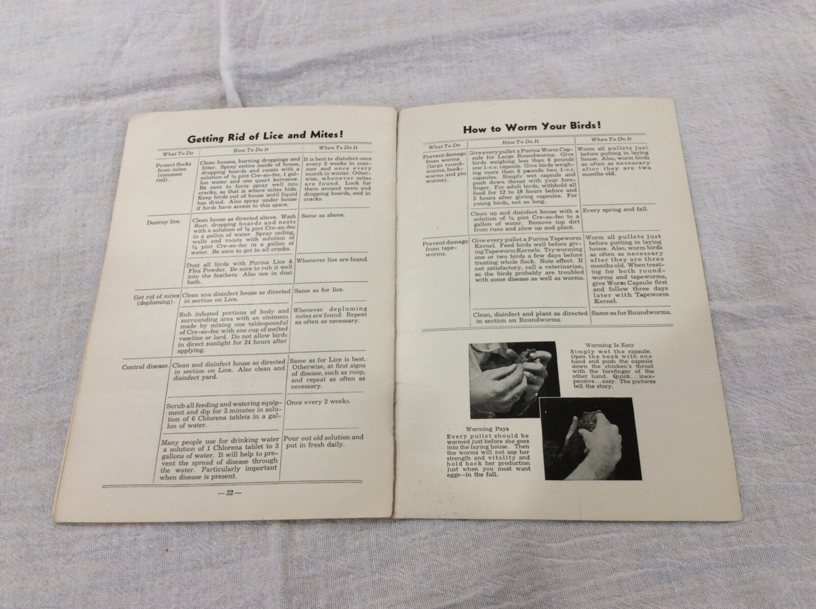 1932 Hens & Pullets Care & Management Booklet By Ralston Purina Agriculture