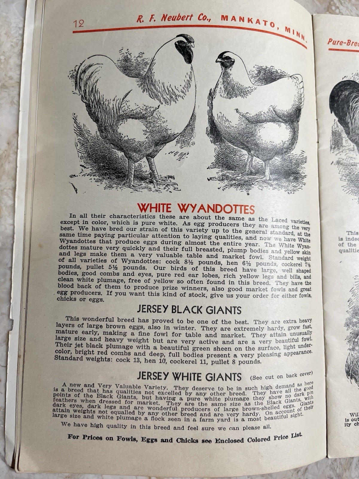 Vintage 1945 Neubert&rsquo;s Neubert Poultry + Supply Catalog Mankato MN