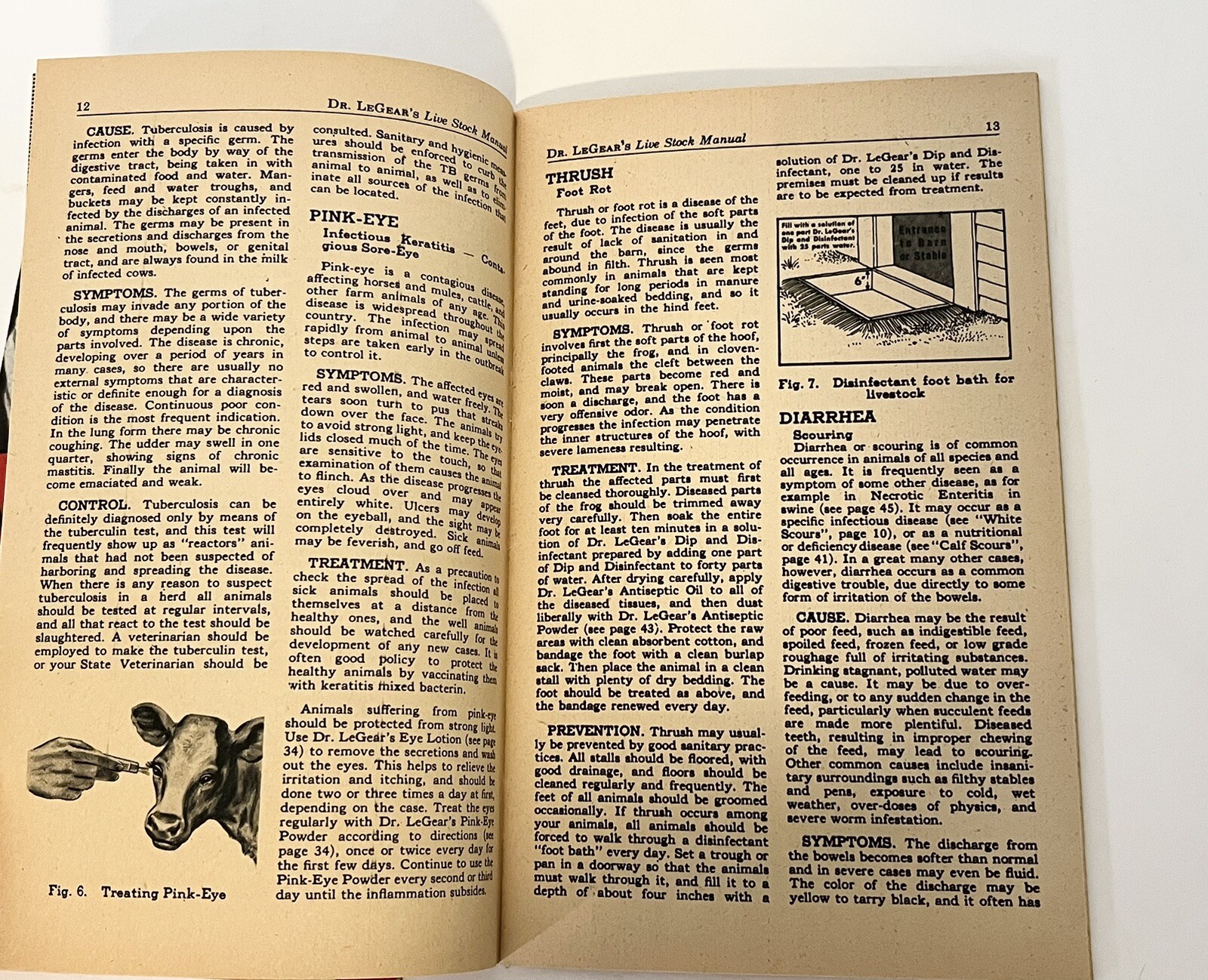 Dr. LeGear&rsquo;s Booklet Poultry Guide Live Stock Manual Horses Sheep 1940&rsquo;s LOT 2