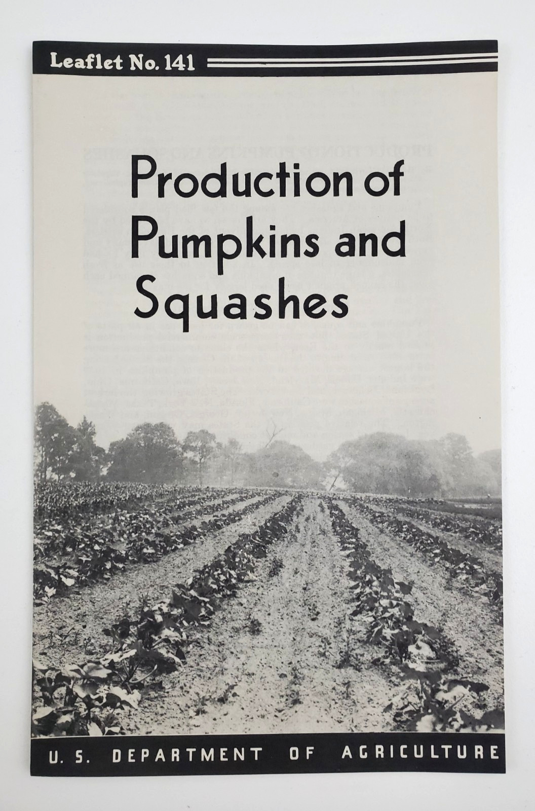 1938 Pumpkins & Squashes Production Vintage Farmer&rsquo;s Leaflet No 141 1945 Print