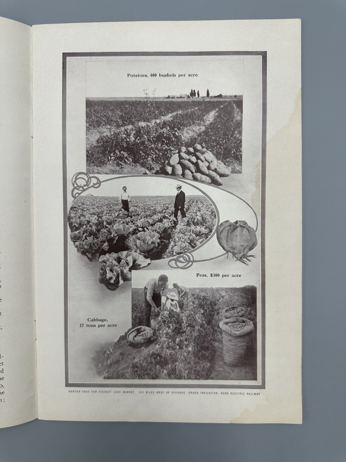 1908 SPOKANE COUNTRY Farming APPLE ORCHARD Fruit HOLT STEAM ENGINE Chamber MAP