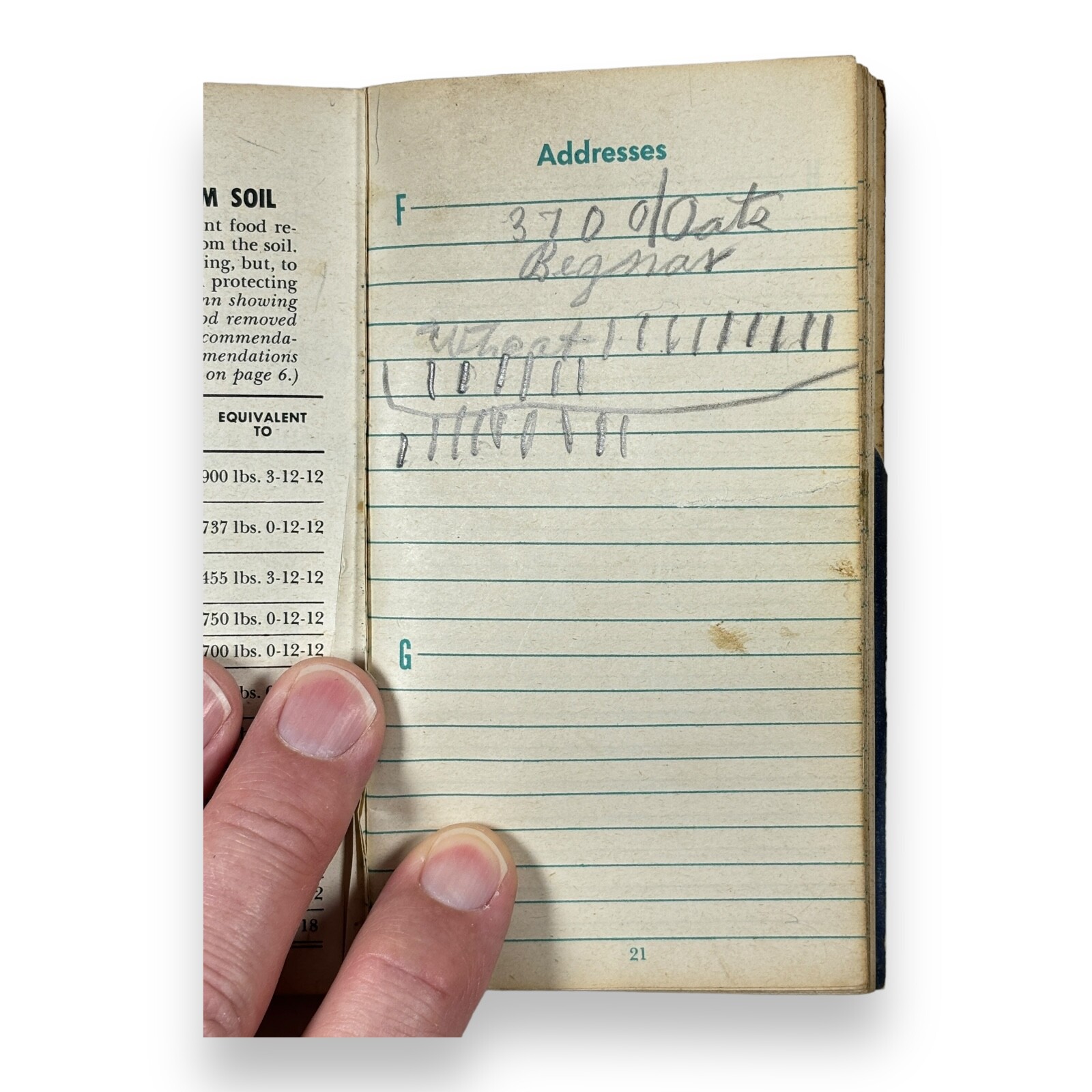 1947 Red Steer Brand Swift Plant Food Pocket Calendar Address Note Memento Book