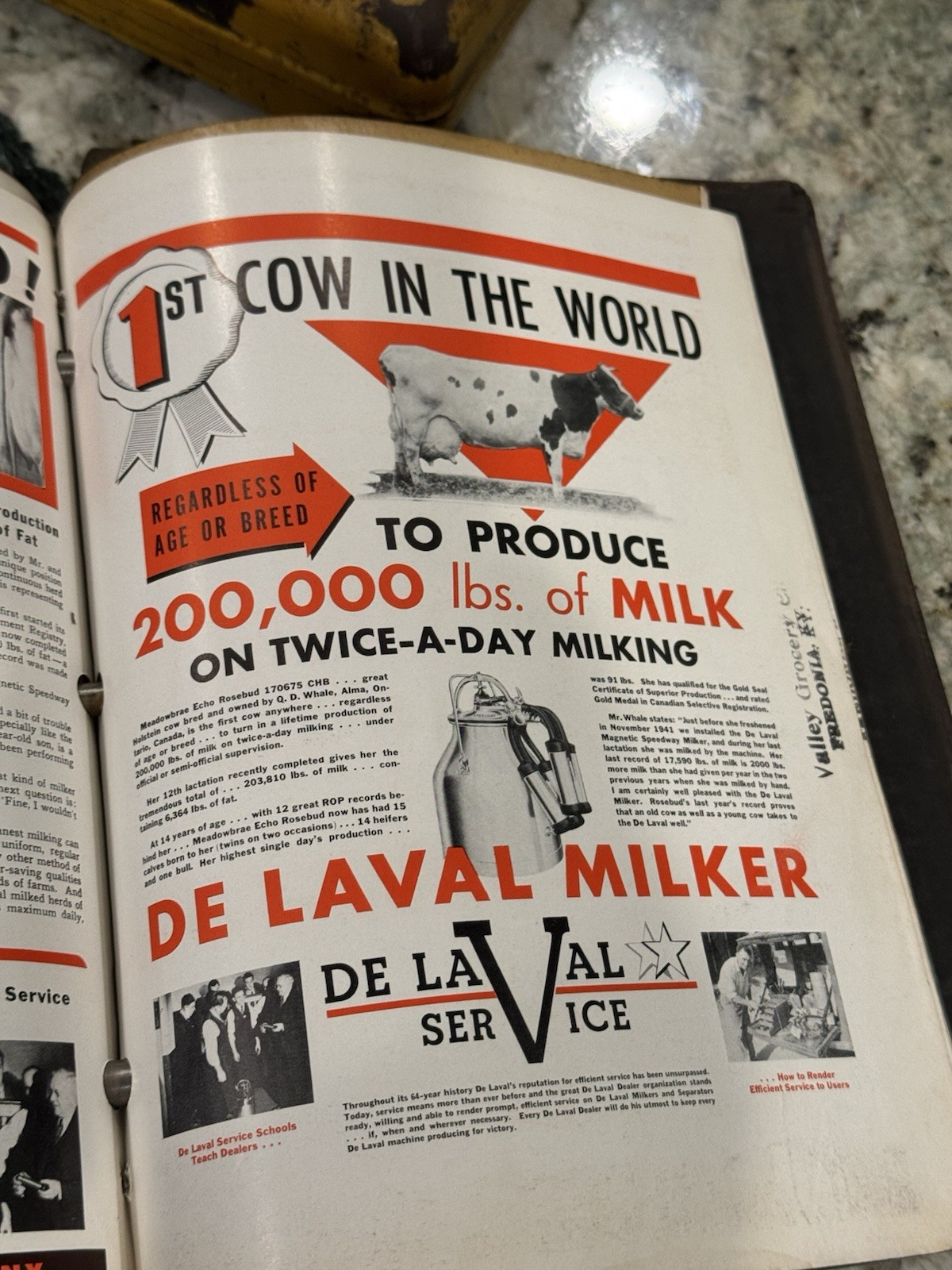 DE LAVAL Milking Machine DEALER BINDER Manuals Cream Separator Parts List