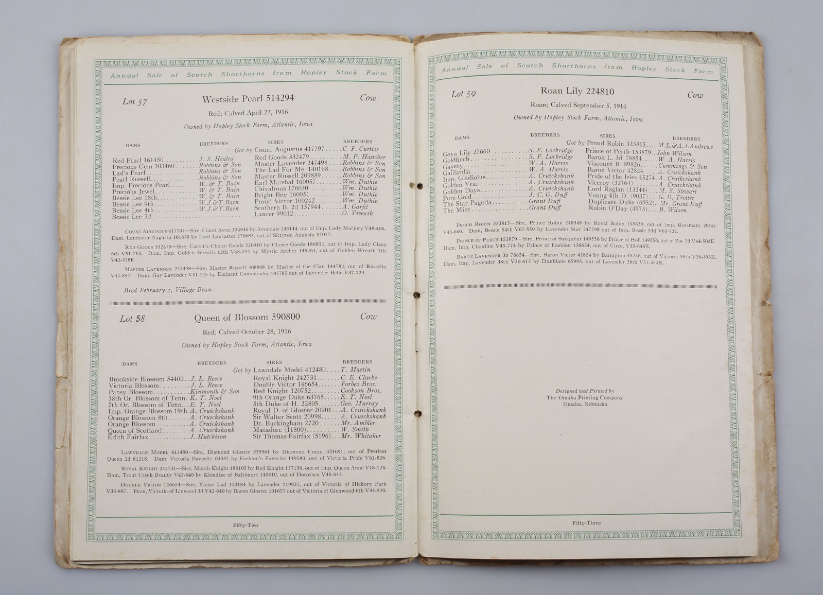 1918 Scotch Shorthorns Livestock Sale Catalog Hopley Stock Farm Atlantic Iowa