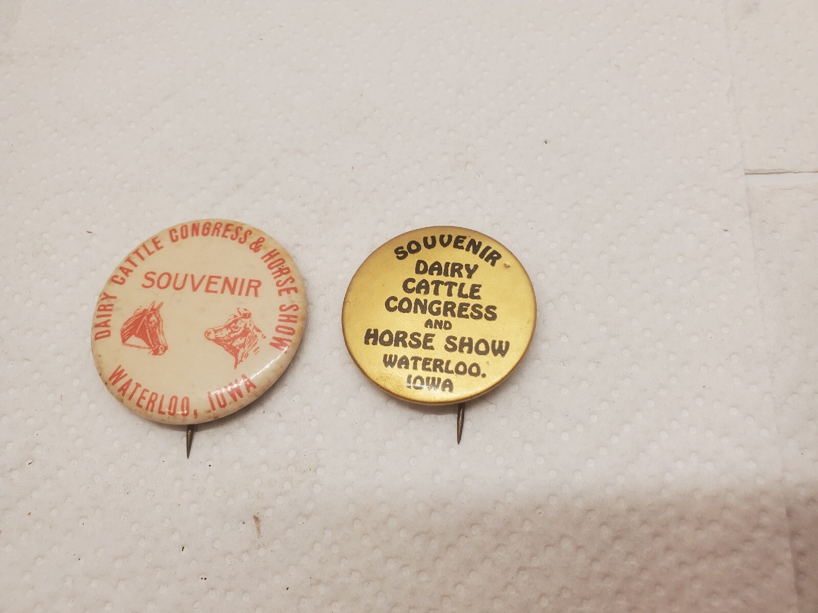 2 Metal Pinback Buttons Souvenir Dairy Cattle Congress Horse Show Waterloo Iowa
