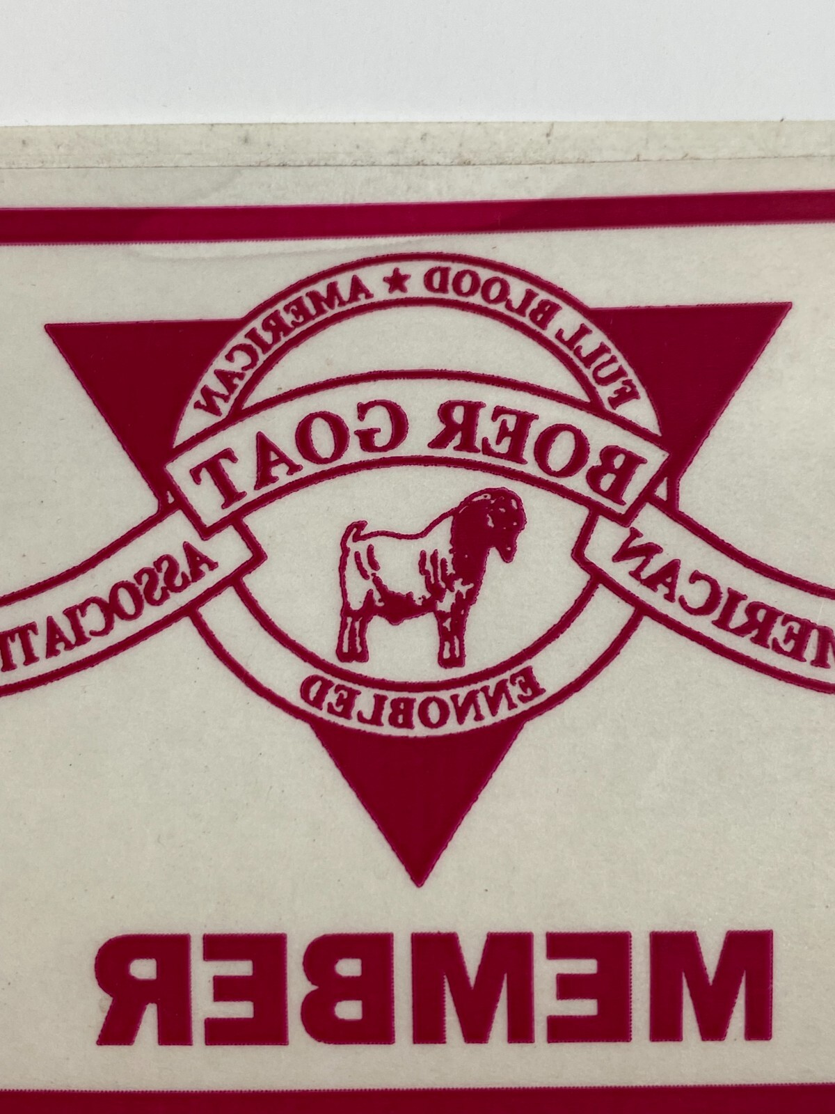 MEMBER American Boer Goat Association Full Blood Window Decal Sticker Livestock