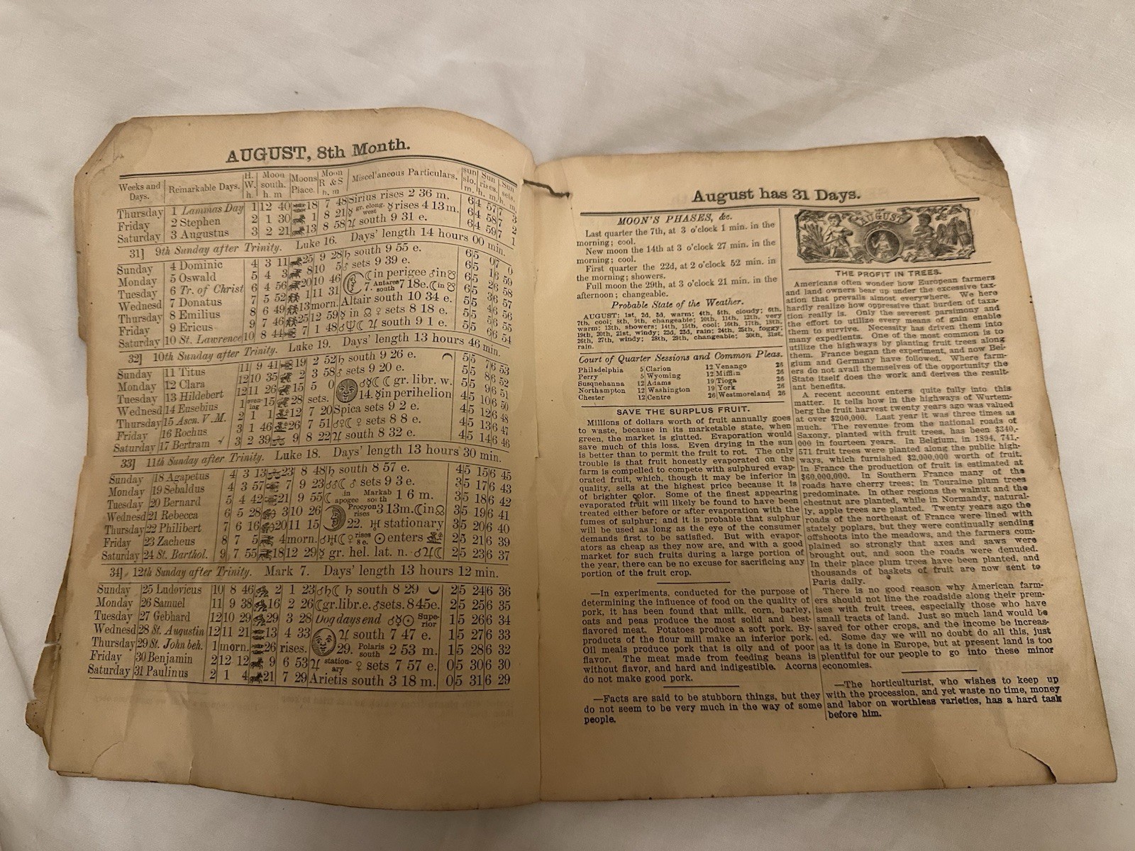 Lot 5 Antique Almanacs 1900-1907 Lancaster PA & Frederick MD + 1979 Newport PA