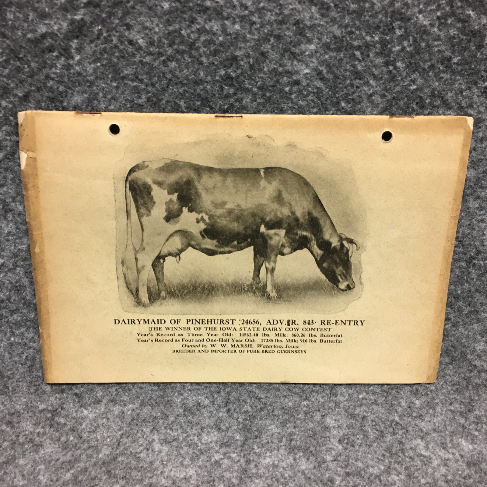 1910s Iowa Dairy Separator Co. De Laval Law Suit Expert Testimony Ad Brochure