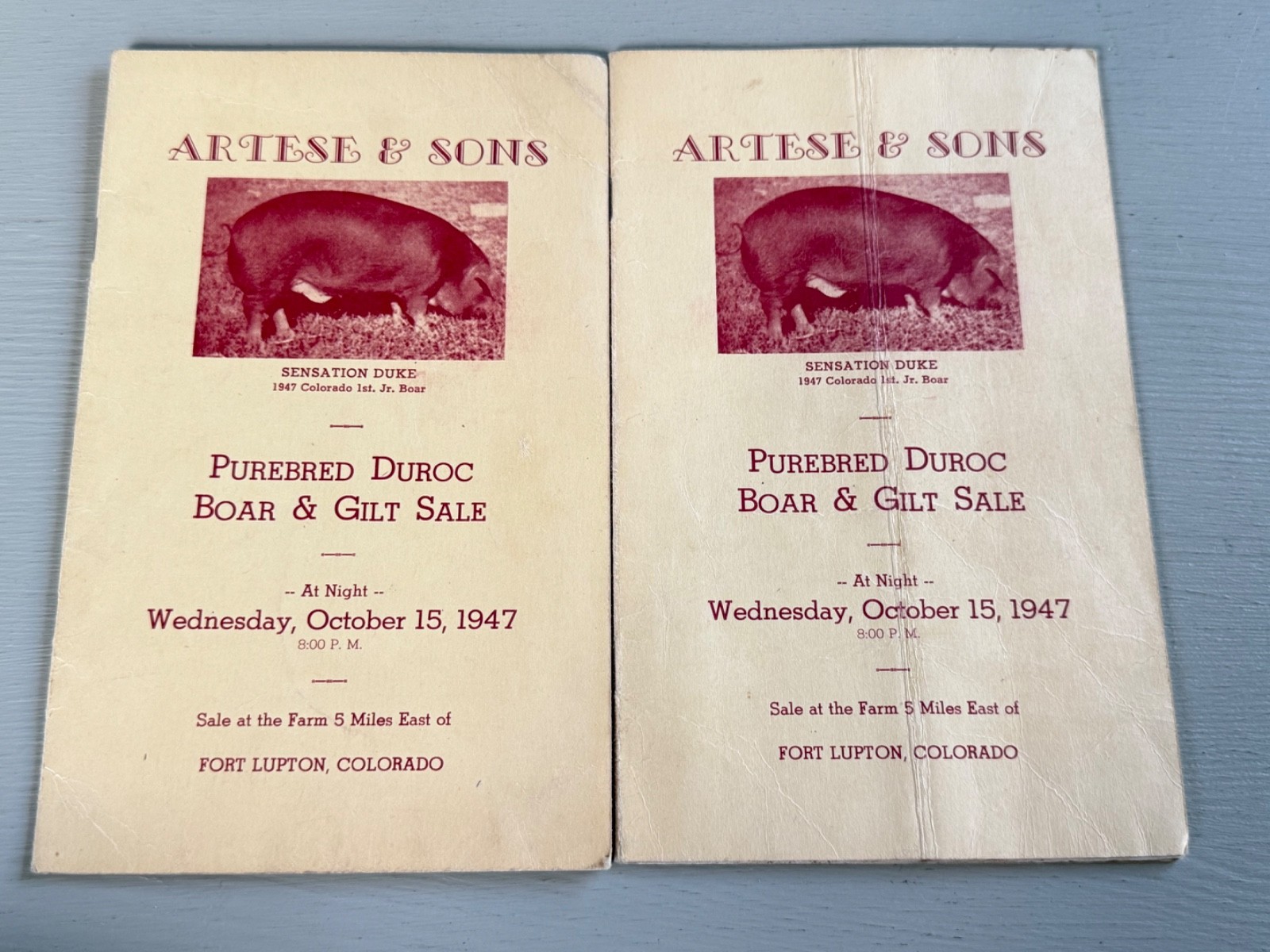 Mixed Lot of 34 Vintage Duroc Pig Hog Auction Sale Brochure Advertising KS NE CO