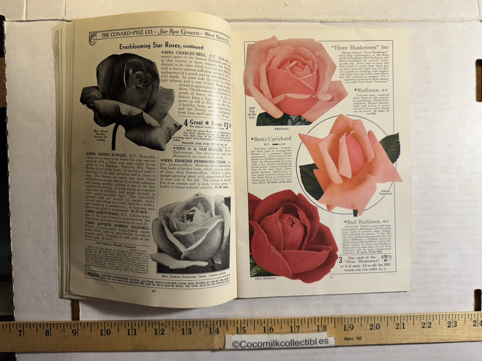 Vintage 1931 The Conard-Pyle CO Star Rose Growers Catalog West Grove PA
