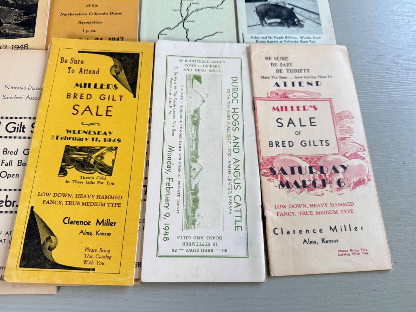 Mixed Lot of 34 Vintage Duroc Pig Hog Auction Sale Brochure Advertising KS NE CO