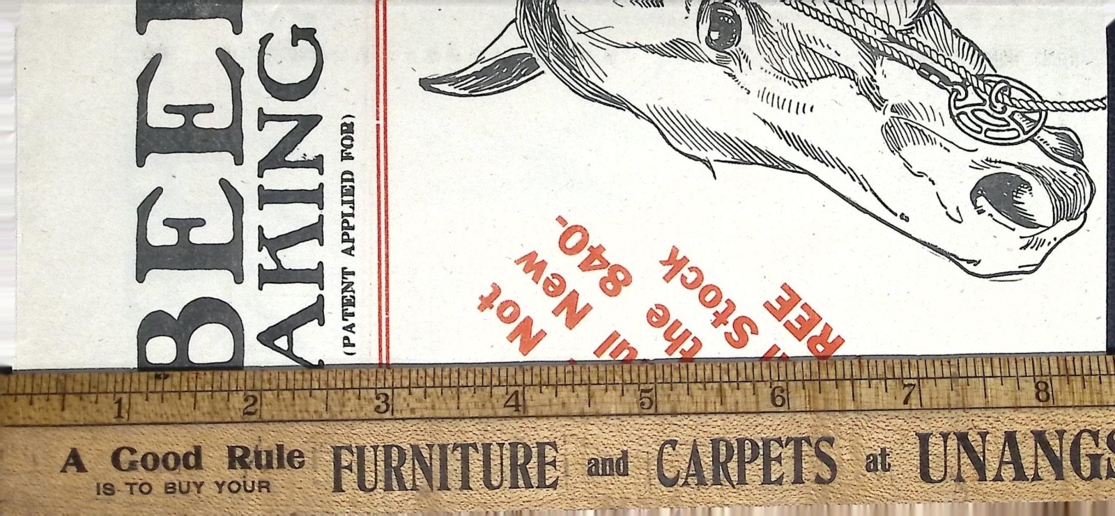 Antique Prof. Beery’s New Breaking Bridle Flyer c.1910s Horse Training Ephemera