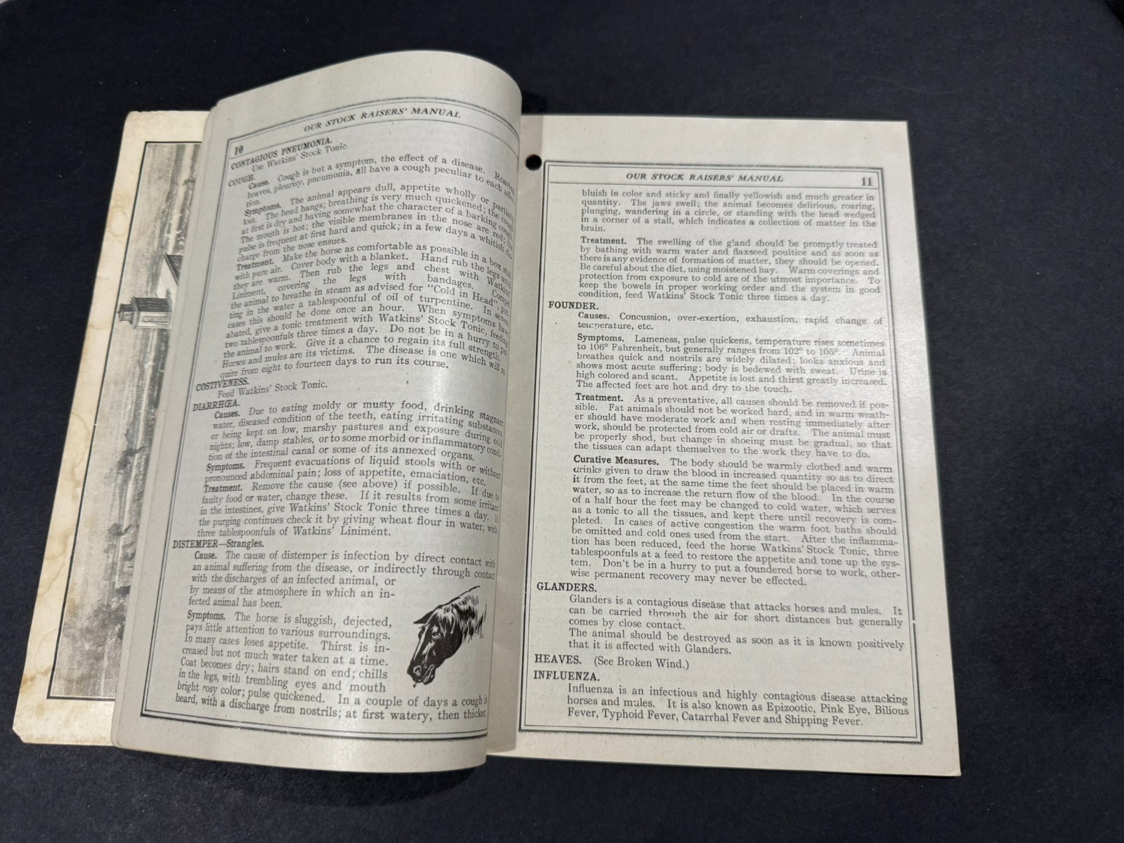 Vintage Watkins Stock Raisers Manual Farming Brochure