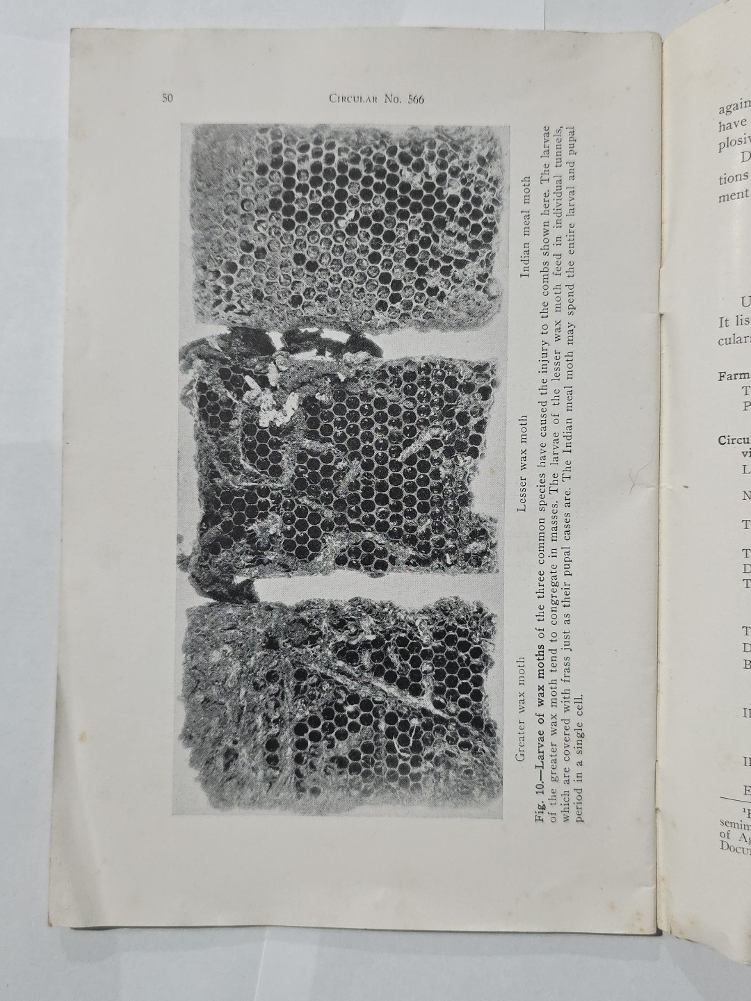 Vintage booklet: HONEY PRODUCTION by V.G. Milum Oct 1945 Reprint Univ. of IL