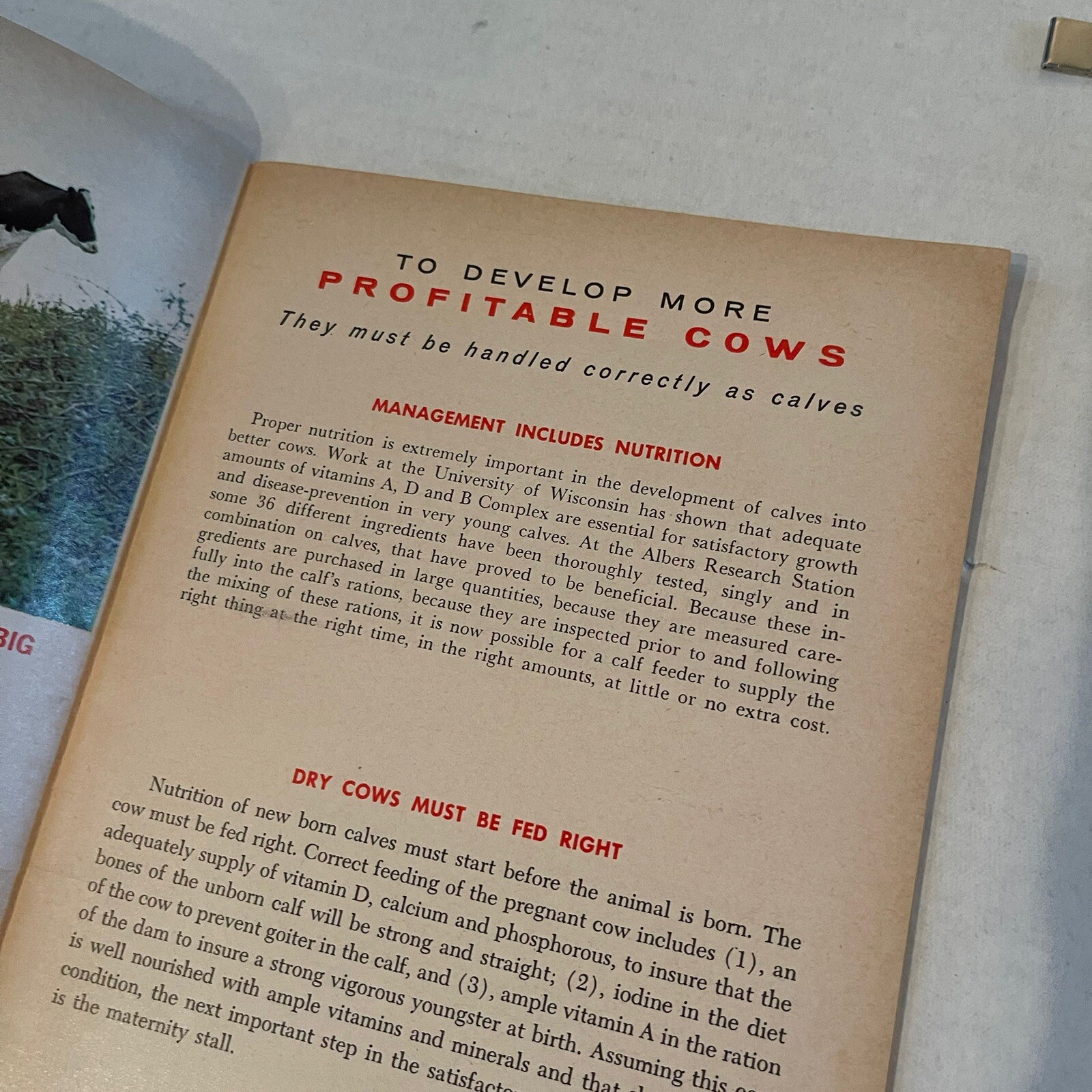 Albers Milling Company 1968 Carnation Albers Calf Plan Selecting Feeding Showing