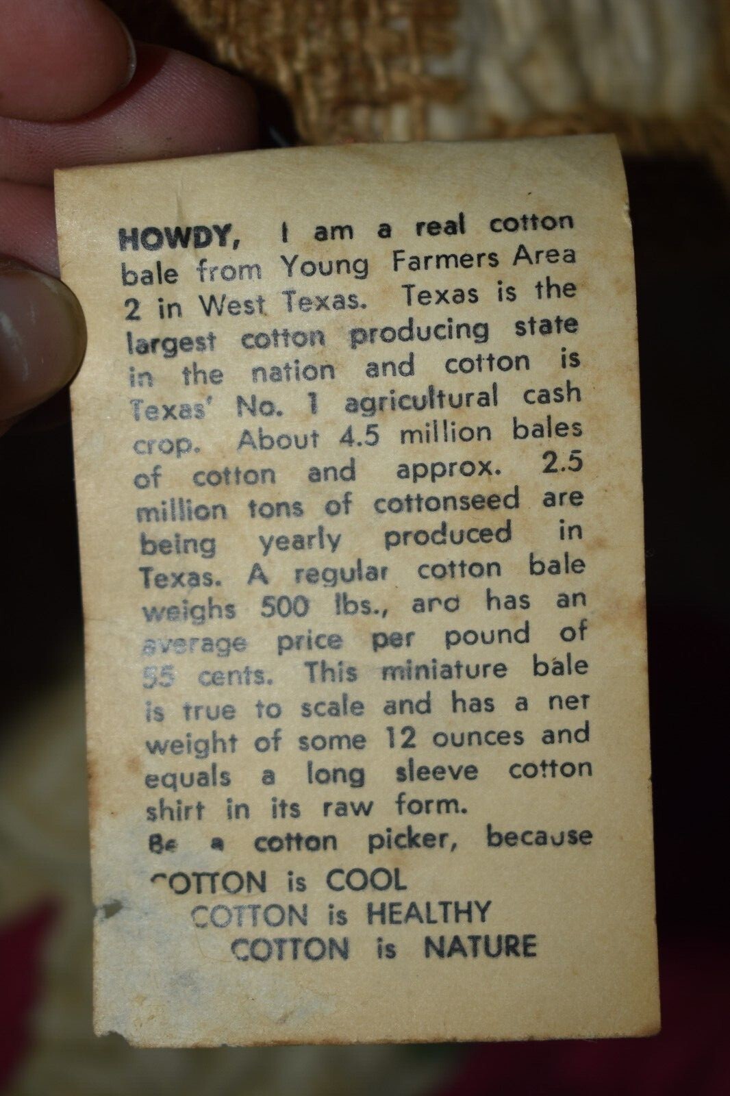 Vintage Souvenir Real Mini Cotton Bale From The Texas Young Farmers Area 2 1982 