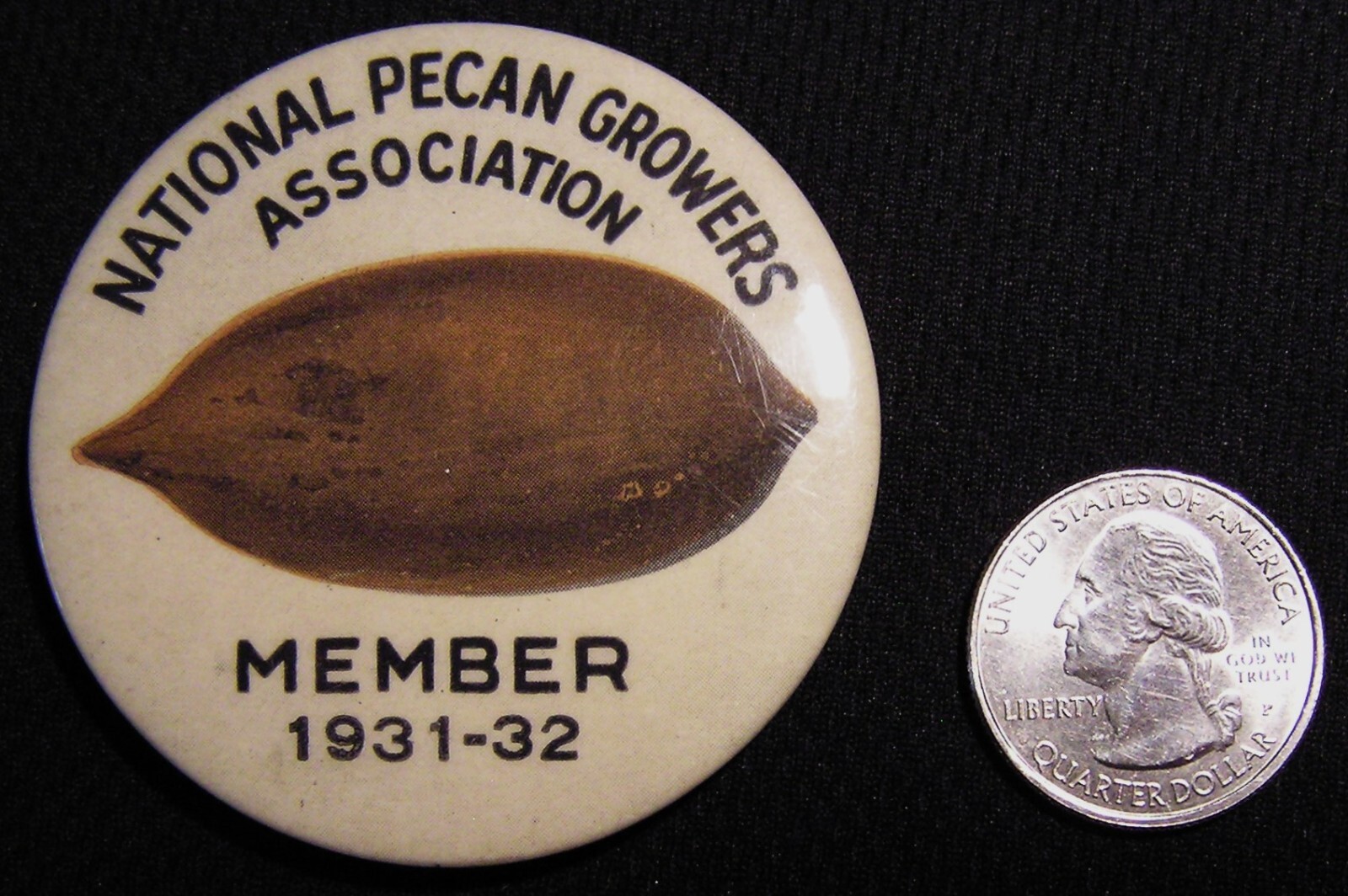 VTG 1931-32 2.25&Prime; NATIONAL PECAN GROWERS ASSN MEMBER PIN BADGE – ST LOUIS BUTTON