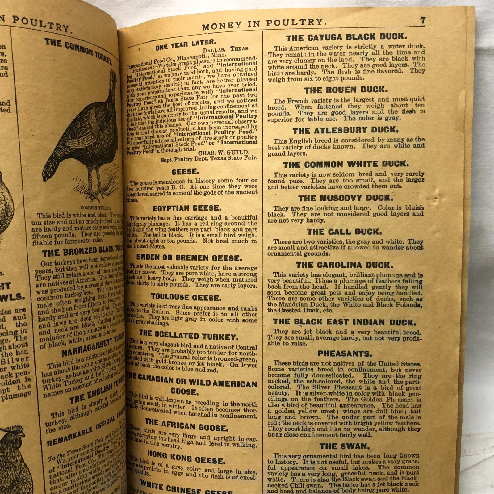 c1900s Money in Poultry Booklet International Poultry Food