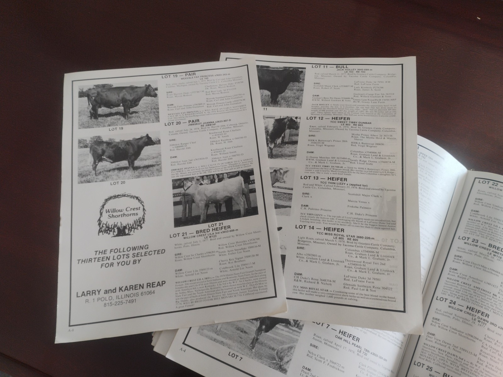 Shorthorn Country October,1978 Shorthorn Magazine Breed Publication